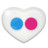 Flickr Icon